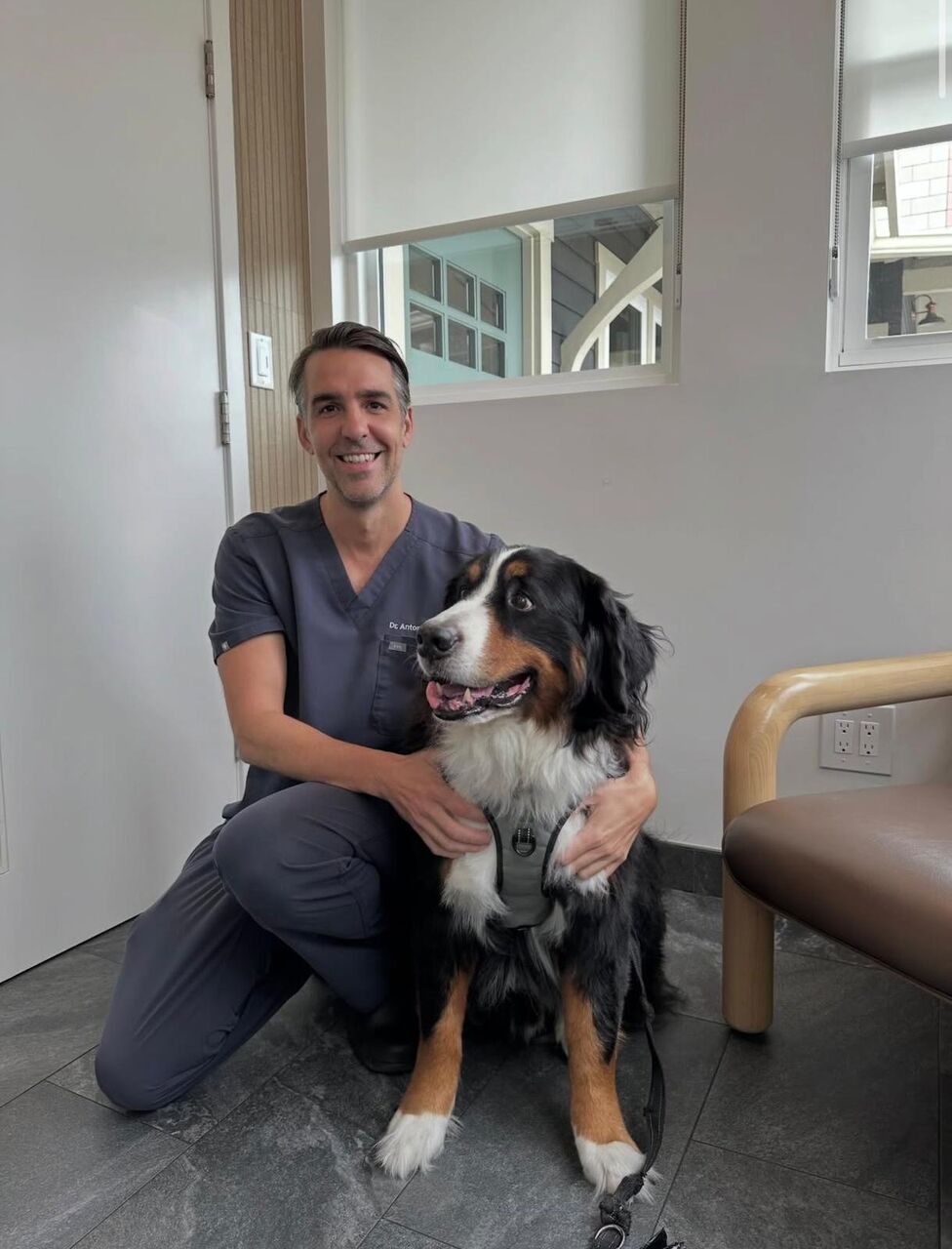Dr. Pedraza kneeling next to a Bernese Mountain Dog patient