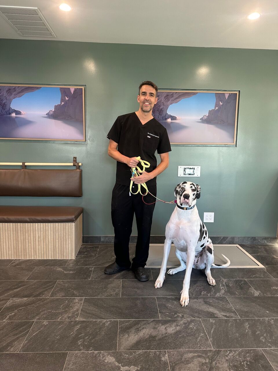 Dr. Pedraza standing beside a calm harlequin Great Dane in the lobby