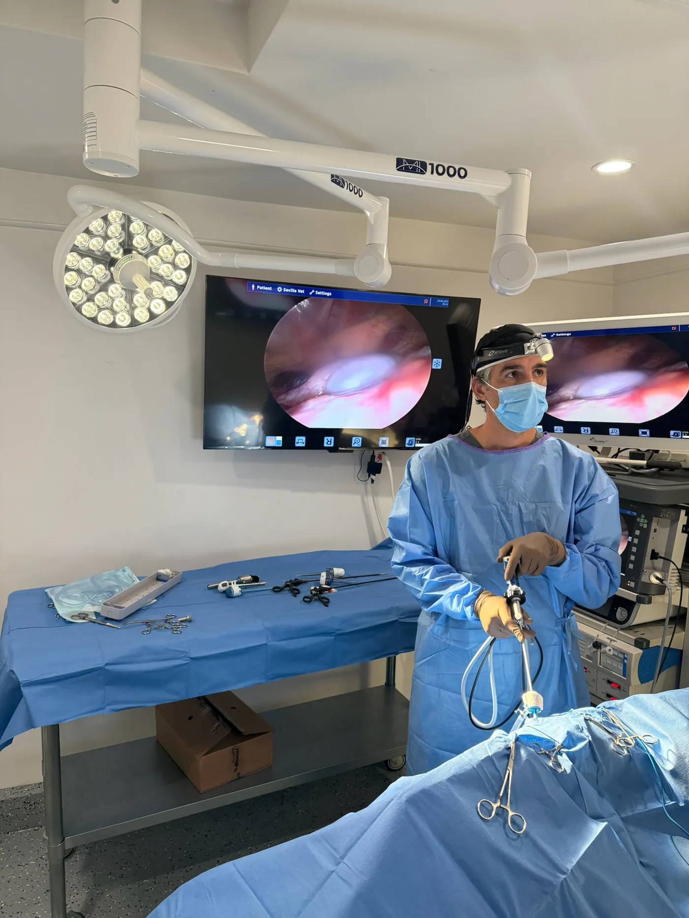 Veterinary care moment between Dr. Pedraza and his patient