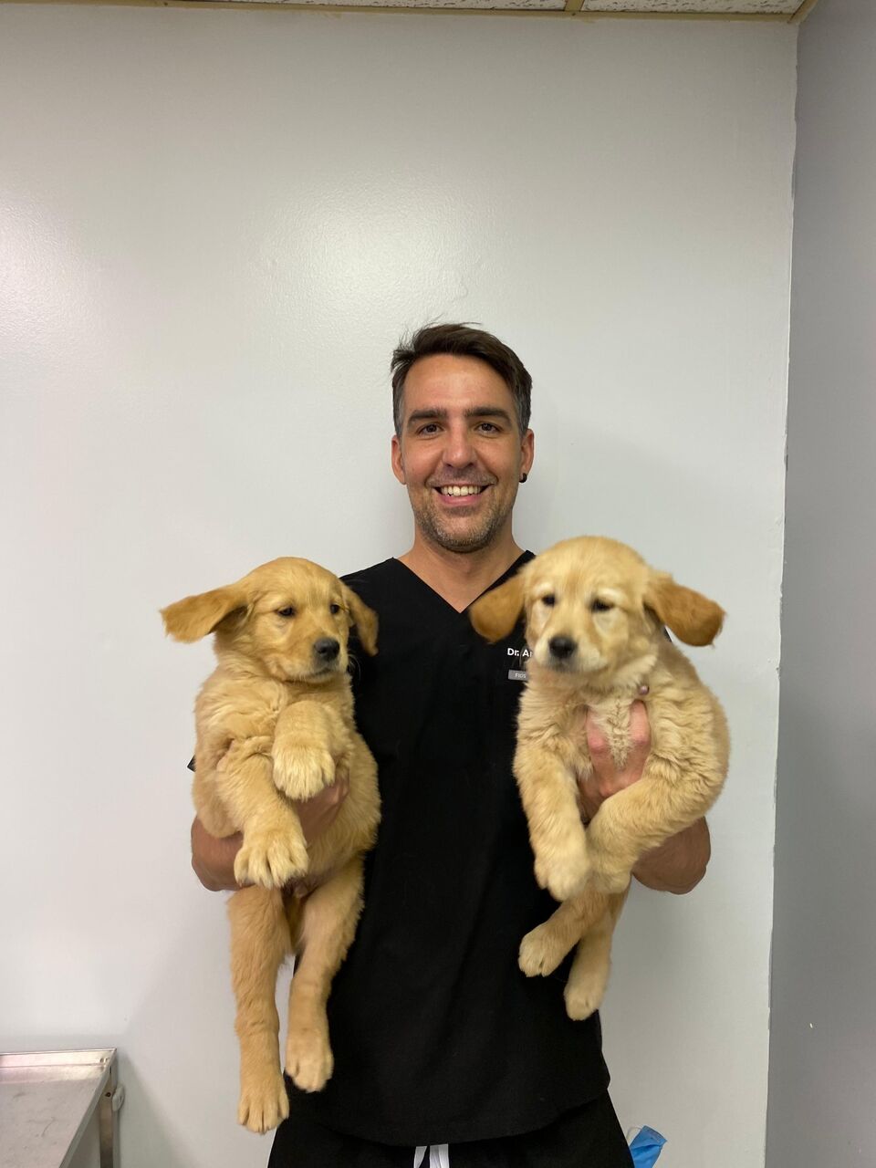 Dr. Pedraza holding two golden retriever puppies