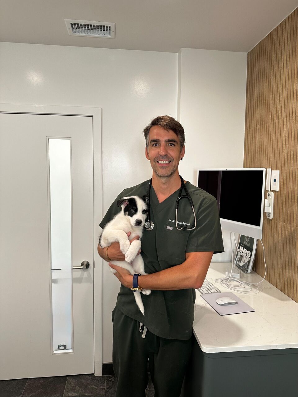 Dr. Pedraza holding a black-and-white border collie puppy in the exam room