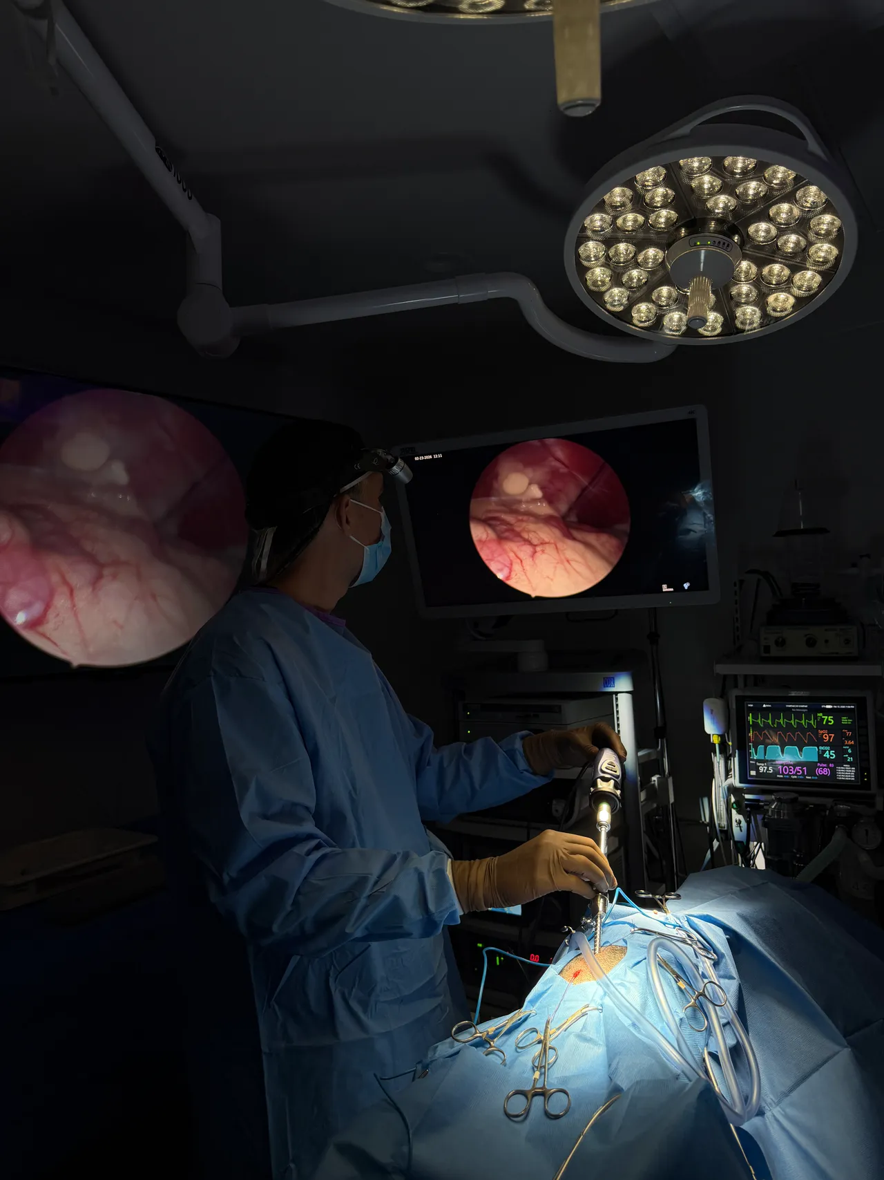 Los Angeles veterinary surgical team performing minimally invasive laparoscopy at Sevilla Veterinary Hospital