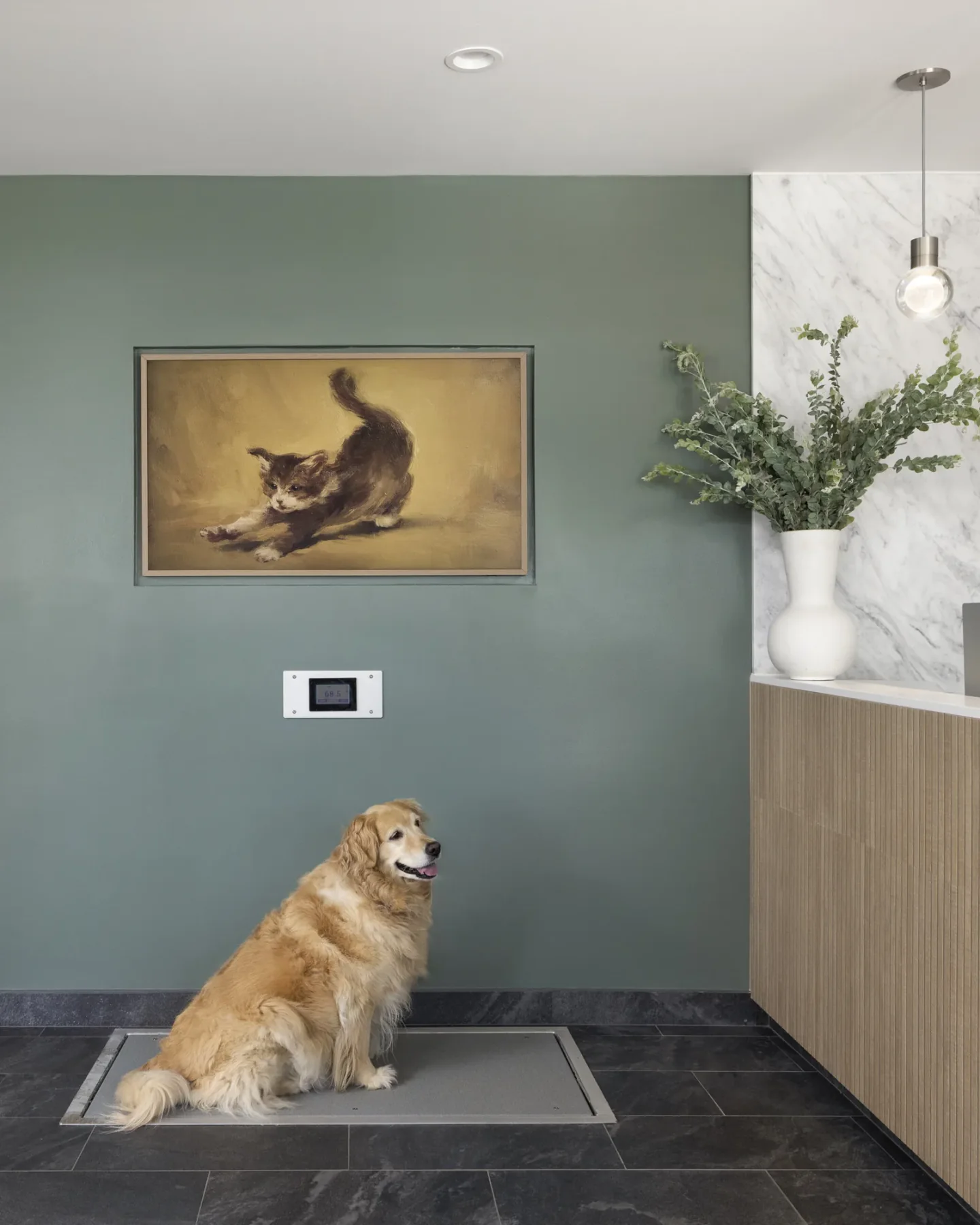 A dog waiting in the reception area of the Santa Monica clinic